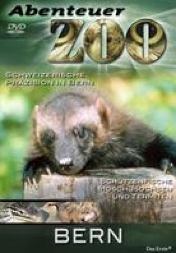 DVD Abenteuer Zoo Bern