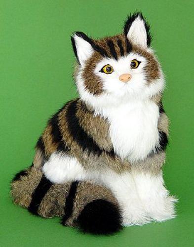schnusige Katze (graubraunes Tigerli), sitzend