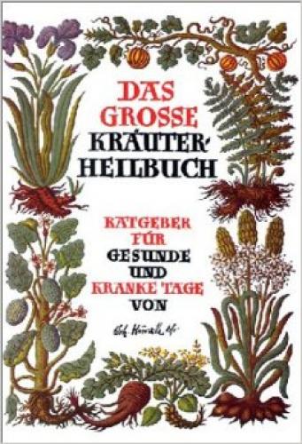 Buch: das grosse Kräuterheilbuch - Johann Künzle