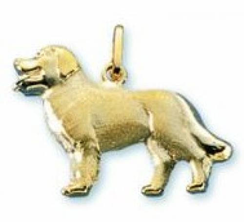 Schmuck: Anhänger Berner Sennenhund 375/9 K Gelbgold