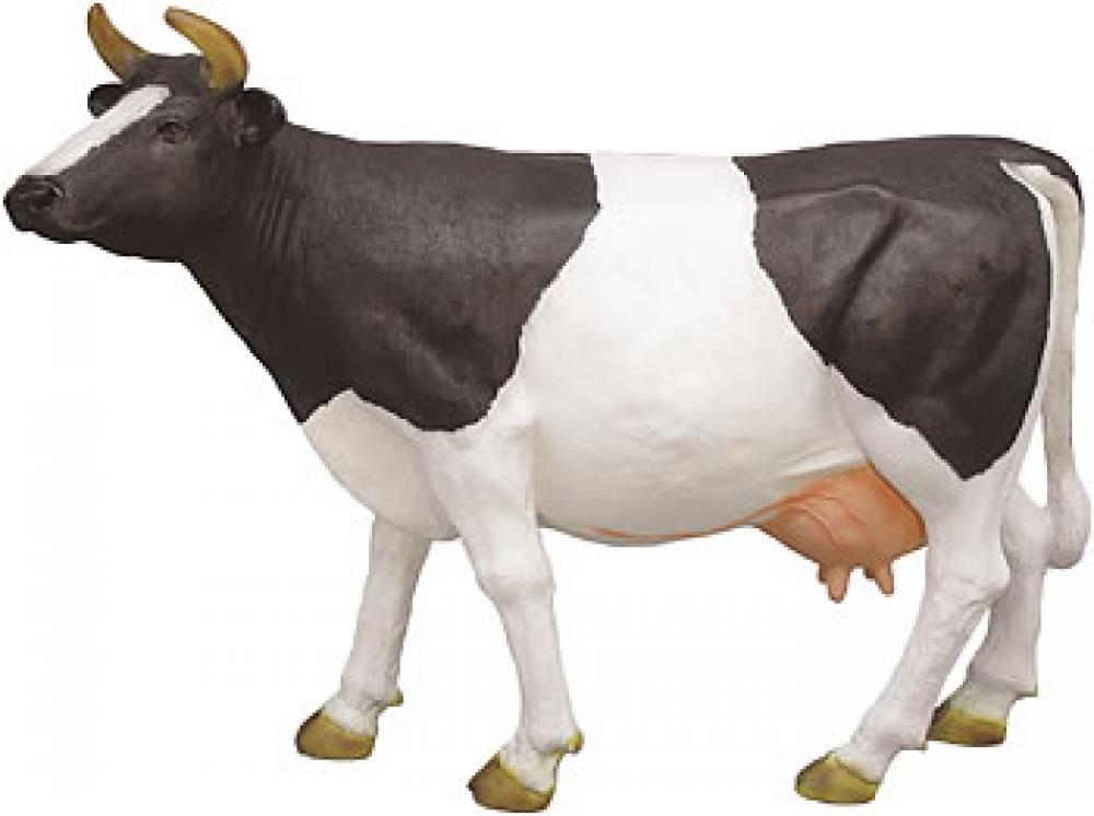 Kühe / Tiere Kuh: naturnah und lebensgross, Farbe: schwarz-weiss