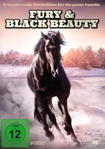 DVD Fury & Black Beauty - 11 wundervolle Pferdefilme für die ganze Familie (6 DVDs)