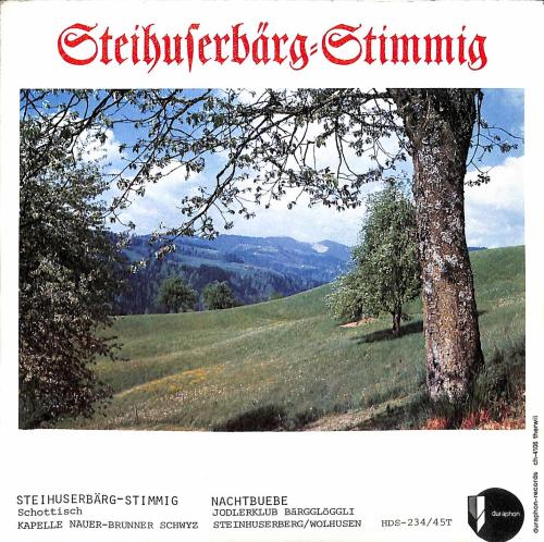 Occ. Single Vinyl: Kapelle Nauer-Brunner - Steihuserbärg-Stimmig